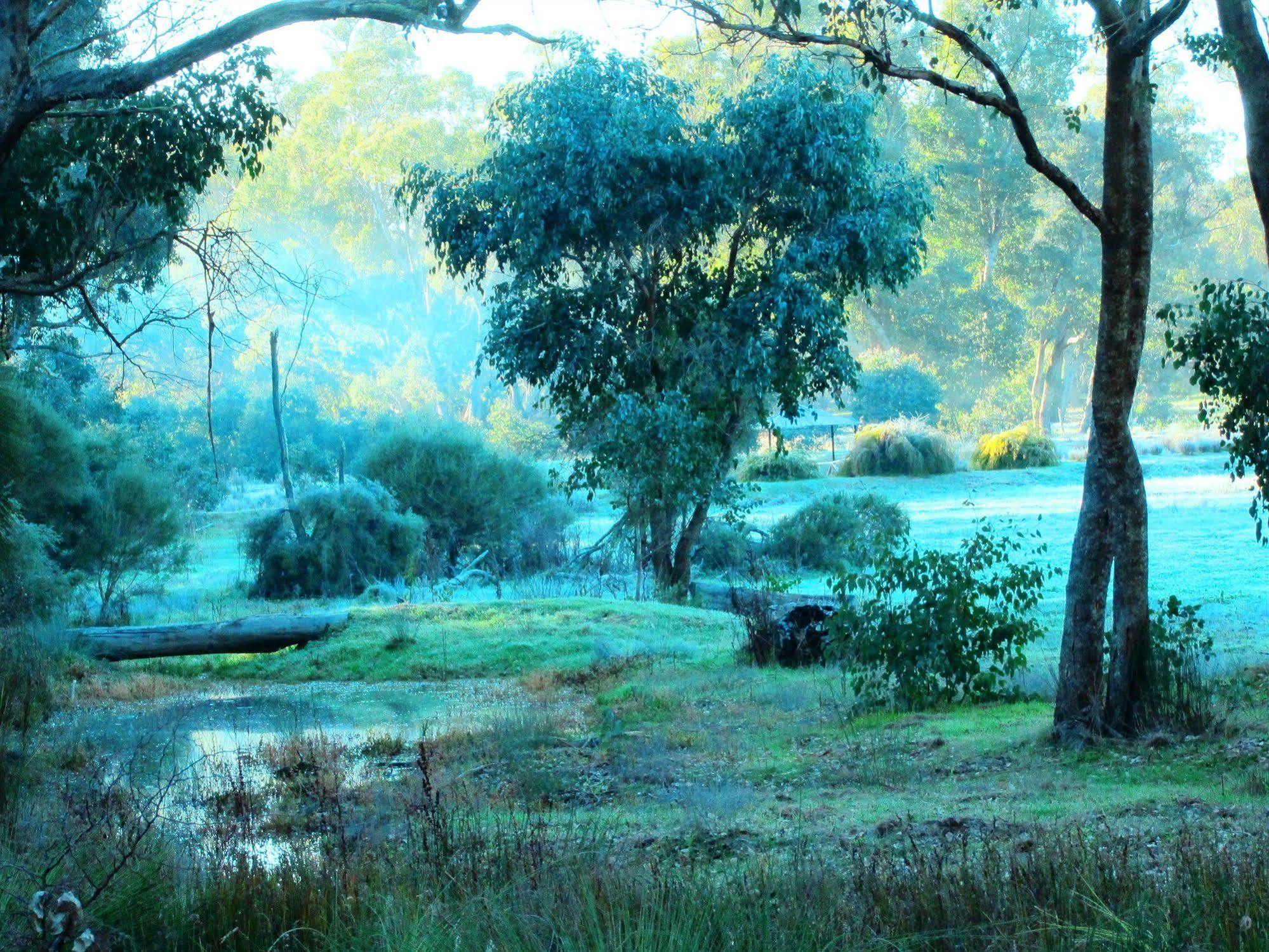 Boyup BrookHidden Grove Retreat别墅 外观 照片